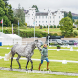 Rosalind Canter and Armscote Explorer, Blair Castle © Hannah Cole