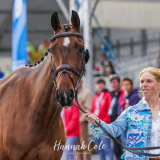 Ros Canter & Izilot DHI © Hannah Cole