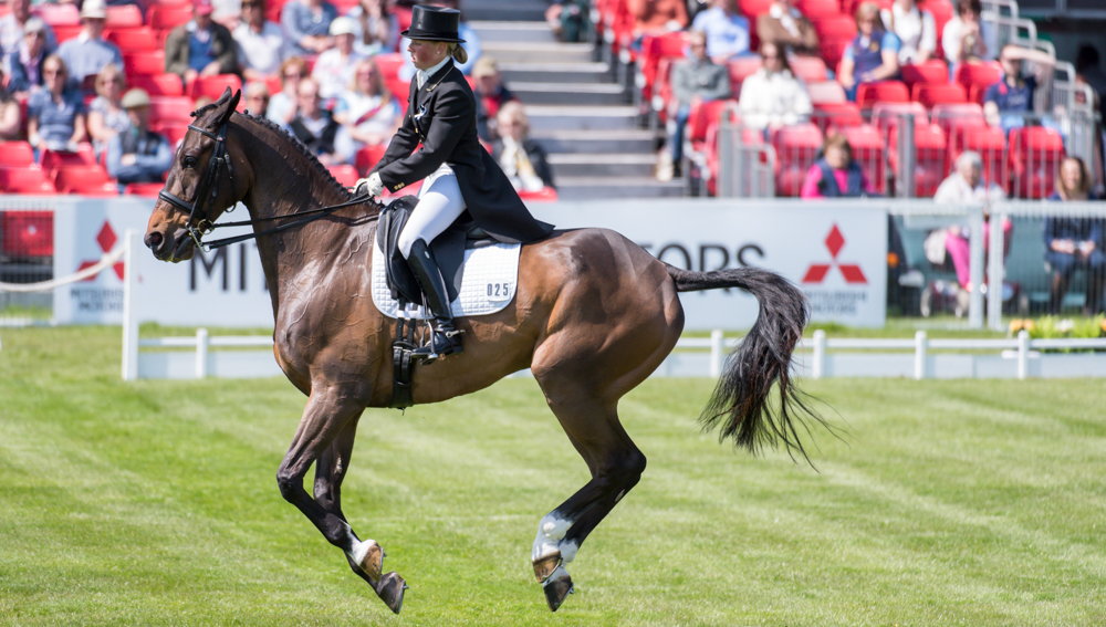 Rosalind Canter Of Great Britain Riding Allstar B – Ros Canter Eventing